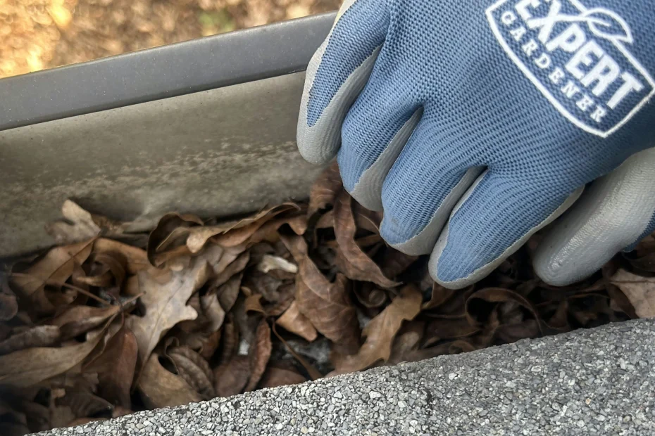 Gutter Cleaning Wilmington NC