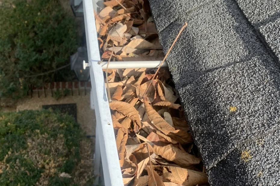 Gutter Cleaning Wilmington NC